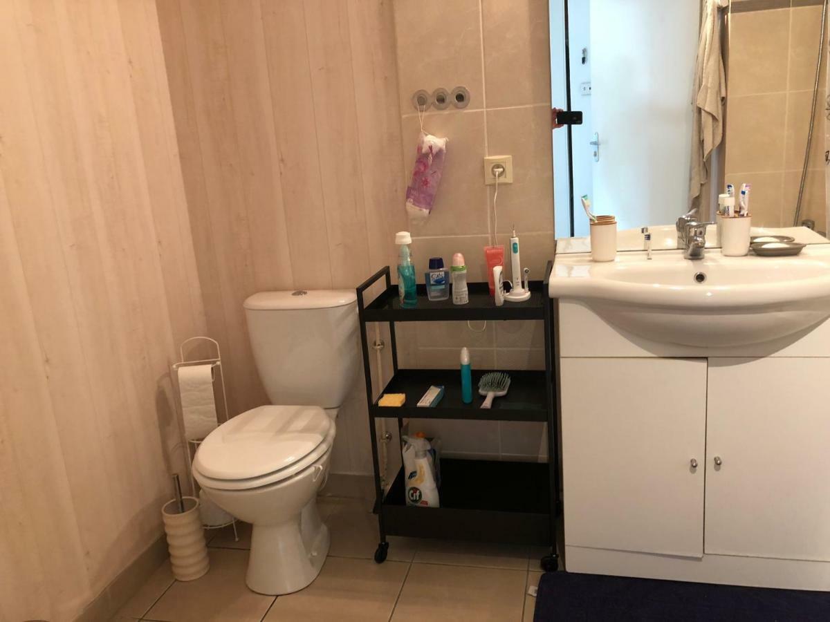 Appartement Au Milieu Des Lacs, Au Bord Du Guiers Aoste Экстерьер фото